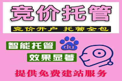 案例解析：SEM托管如何为企业带来高回报